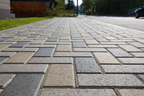 Best Professional Driveway Pavers  in Lone Tree, IA